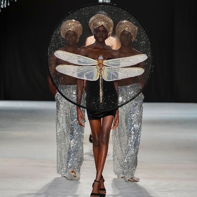 Rahul Mishra's Dragonfly in a Petri Dish at the Paris Haute Couture Week 2024