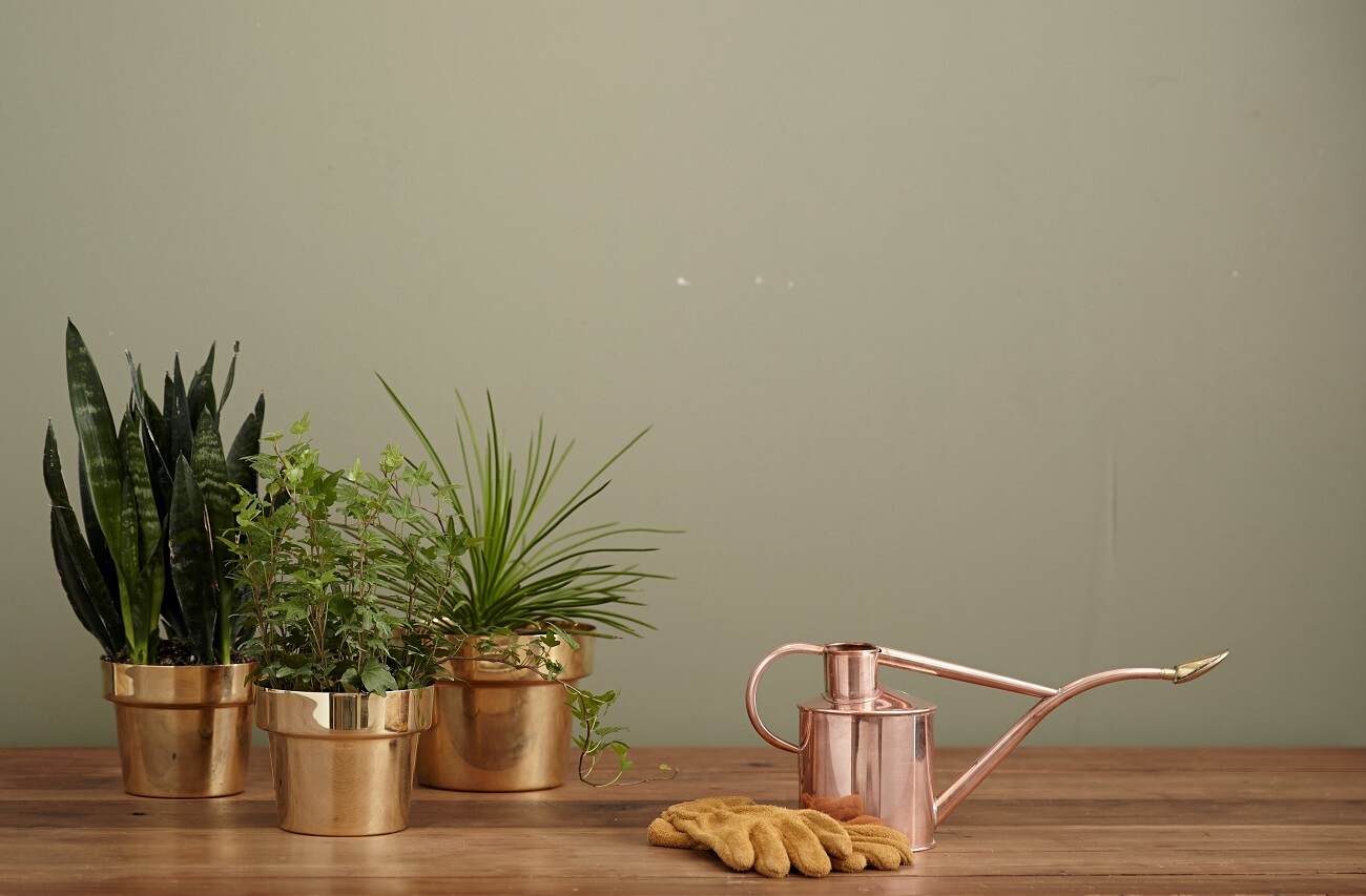 Watering can with three planters and gardening gloves