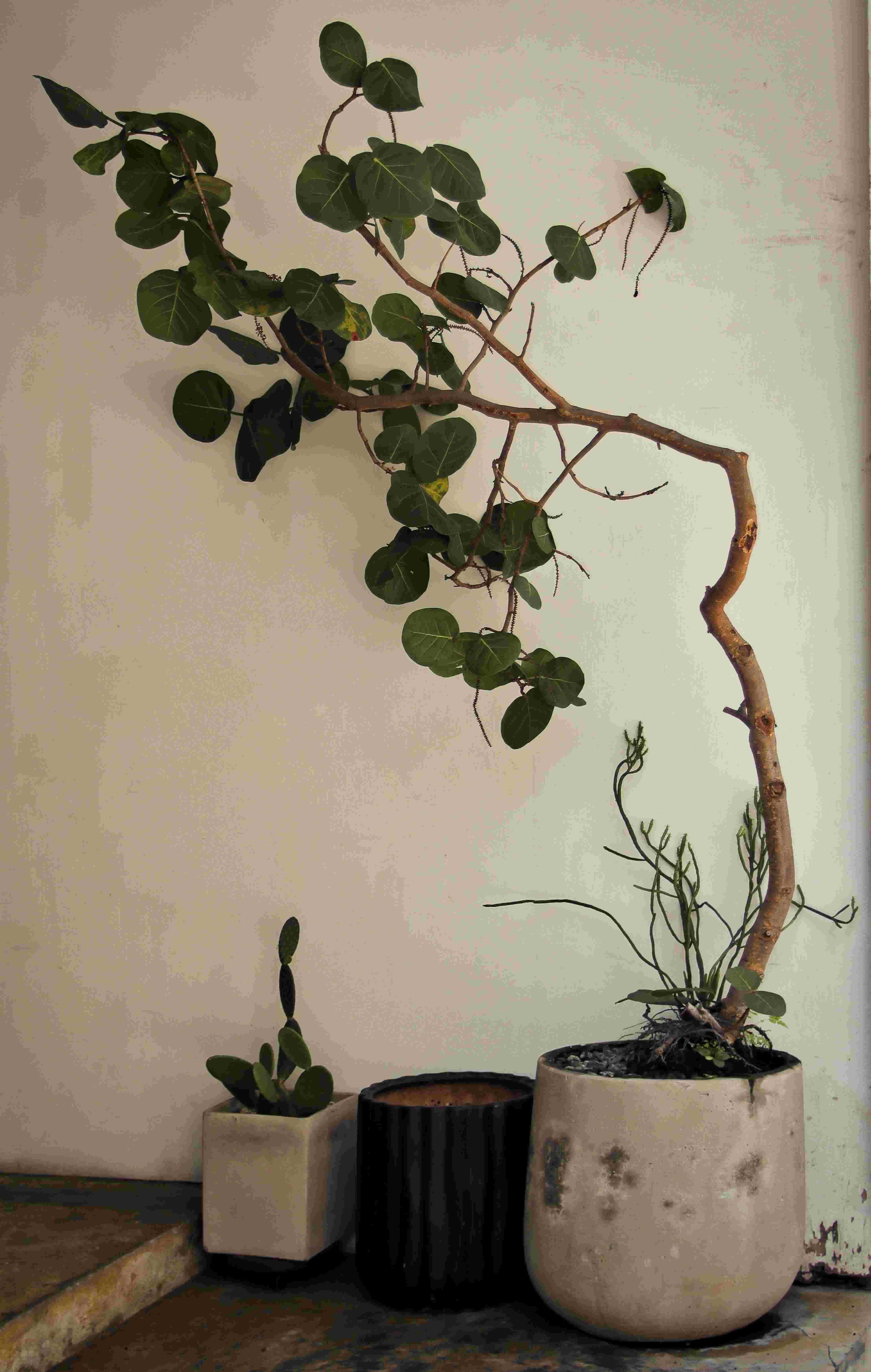 Ikebana arrangement