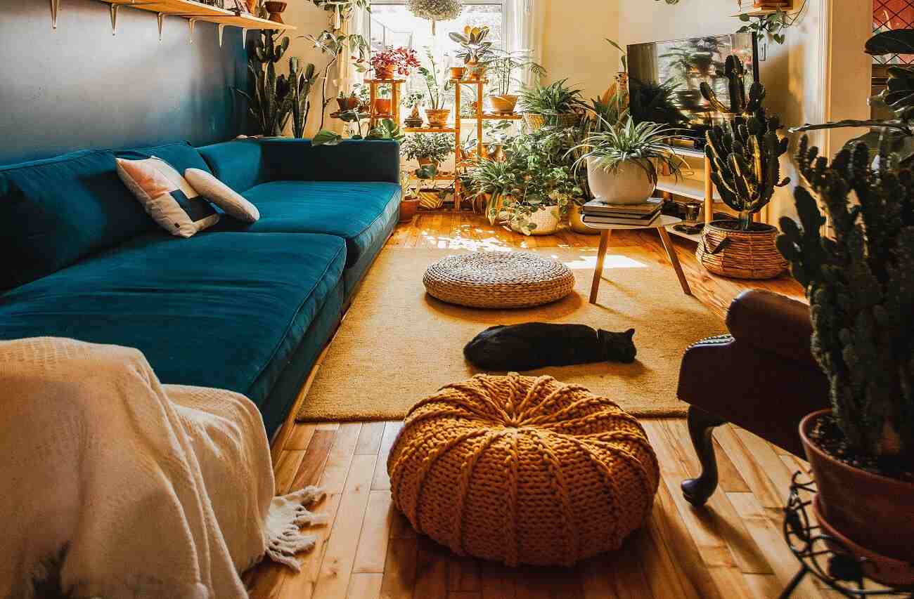 A comfy bohemian decor living room with blue couch, woven bean bag, plants, and a black cat sleeping on a rug