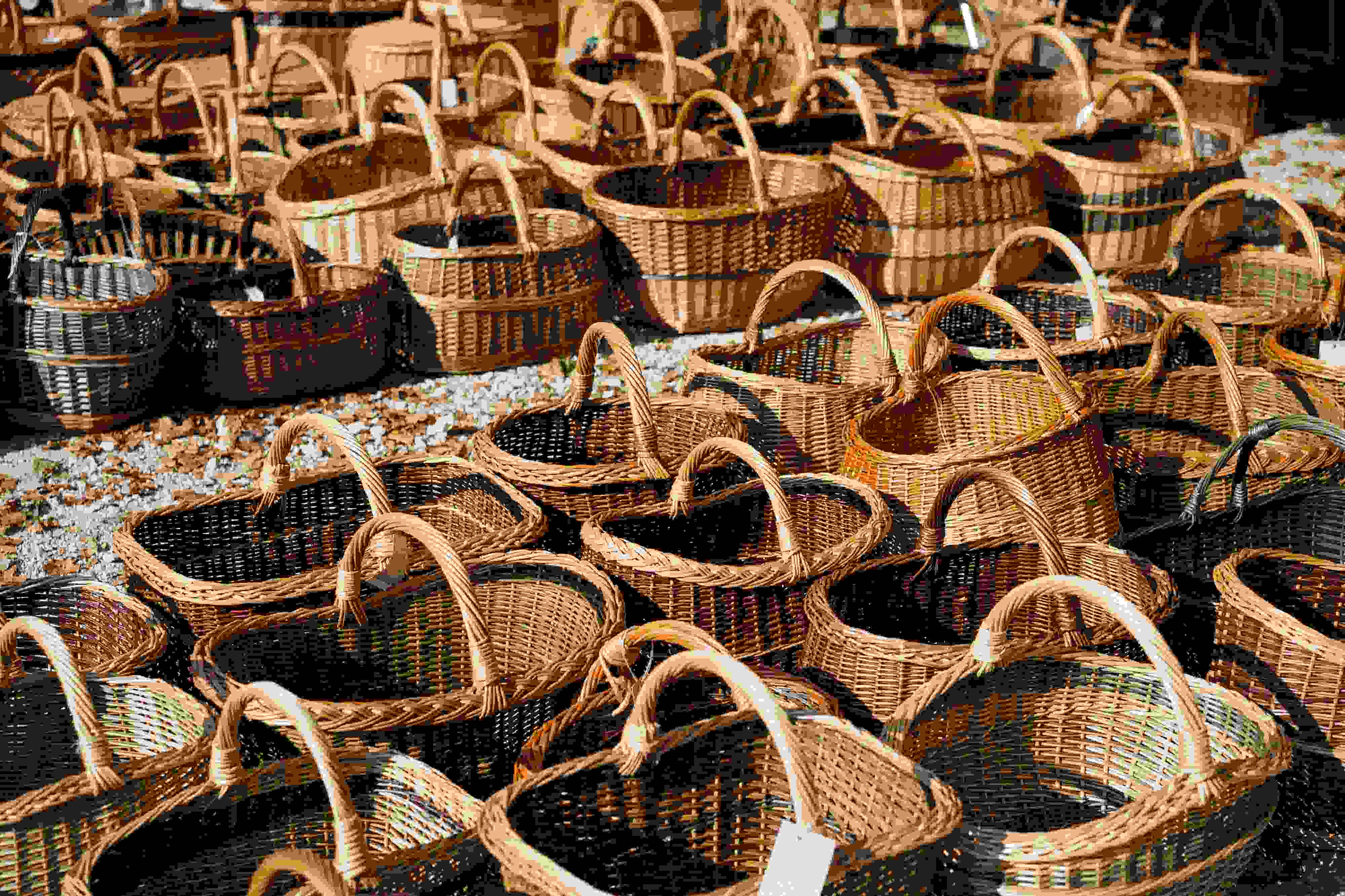 Rattan in China | Qalara