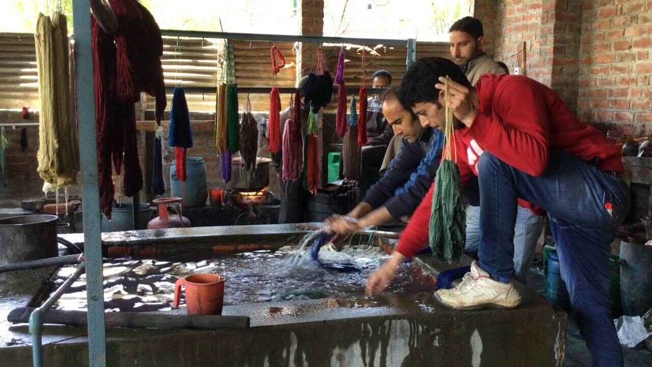 Dyeing process of pashmina