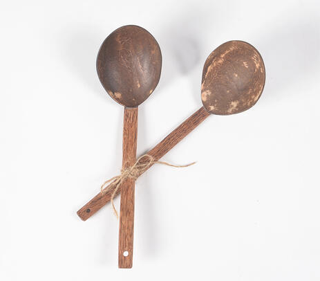 Eco-friendly coconut shell curry ladles