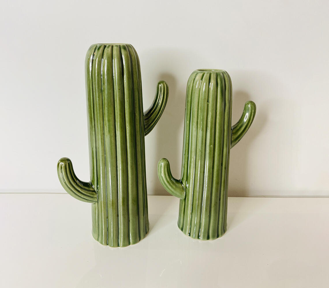 Ceramic cactus planters (set of 2)