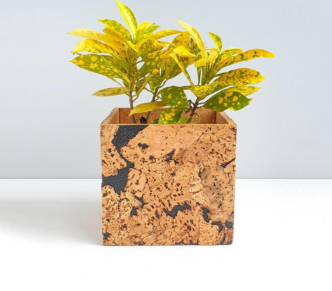 Cork square shaped planter