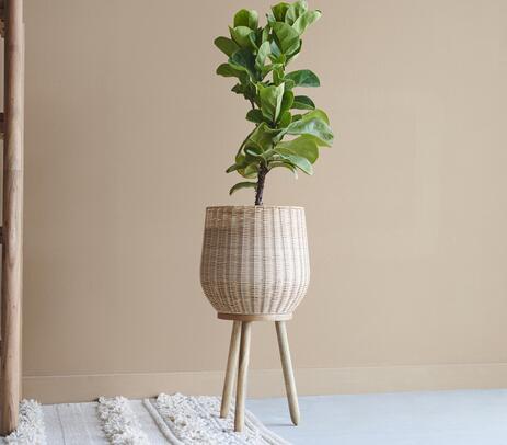 Cane & mango wood earthy planter