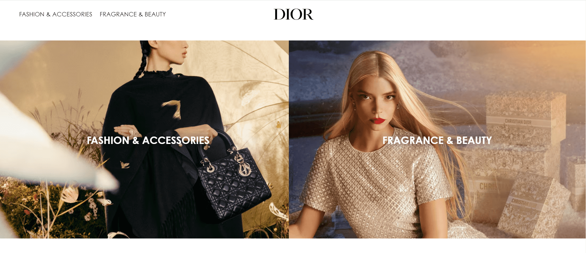 Dior website homepage