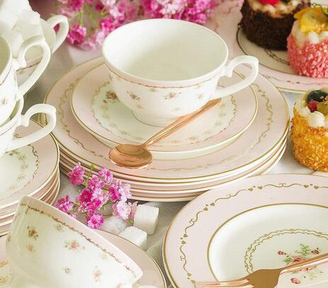 Vintage rose fine china porcelain dinner plates (set of 6)