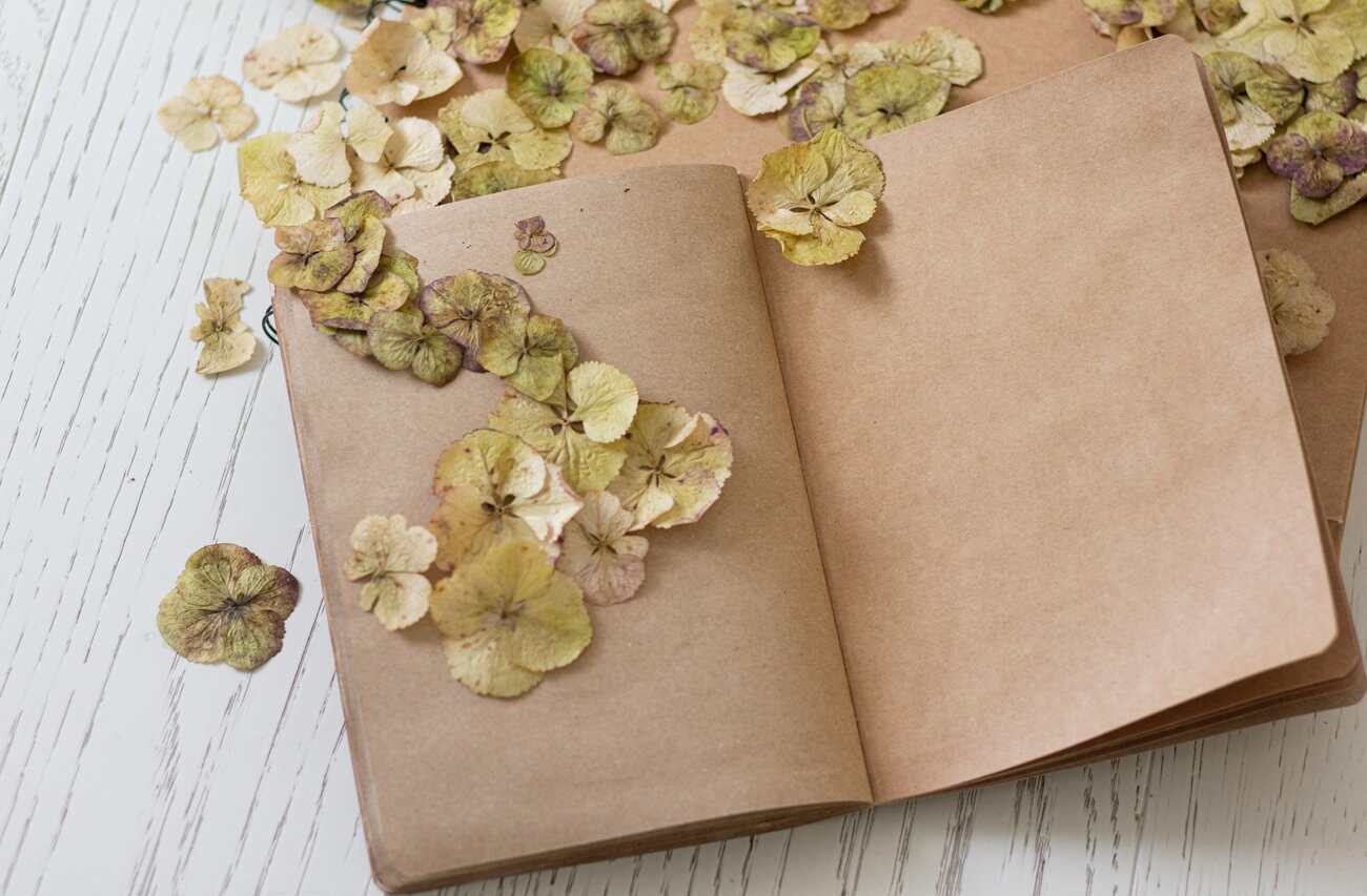 A recycled paper diary with flower petals strewn across it