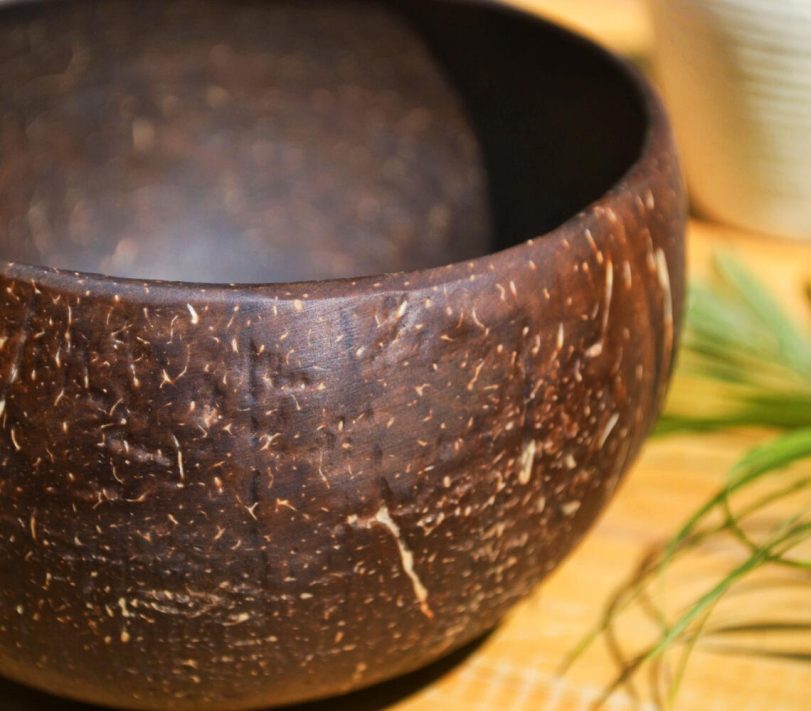 Handcrafted coconut shell bowl | Qalara