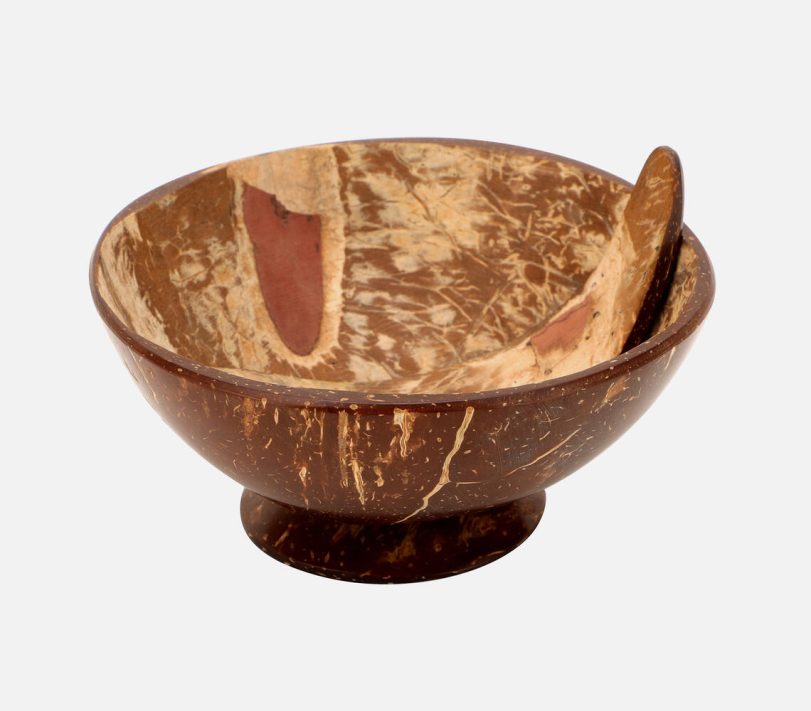 Handmade natural coconut shell bowl & spoon set